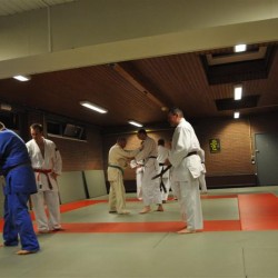 DSC 0132  Medium - Judoclub Zaventem 